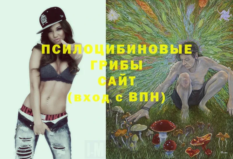 Галлюциногенные грибы Cubensis  omg как зайти  Старая Купавна 